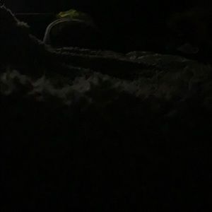 Meet your Posher, Asiah